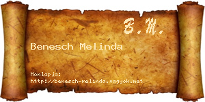 Benesch Melinda névjegykártya